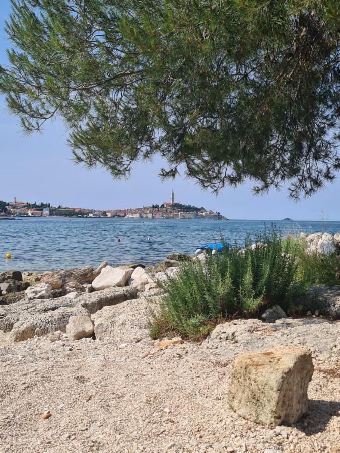Hemy Casa - Lux Mobile Homes Rovinj Exterior foto
